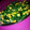 クックJZIP54☆'s cooksnap of when they made 簡単！ ほうれん草とコーンのバター炒め.