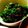 mack♪♪♪'s cooksnap of when they made 菜の花のお浸し♪.