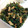 magu0111's cooksnap of when they made ちりめんじゃこと大根菜の醤油炒め.