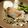 Buena9833's cooksnap of when they made 豚バラ肉のコンフィ.