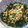きらり流れ星's cooksnap of when they made ゴマが香ばしい☆ほうれん草の納豆和え.