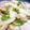 36thさだ's cooksnap of when they made 大根と豚バラバター炒め.