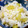 postier_y's cooksnap of when they made ほっこり☆さつまいもご飯.