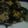 はるかっち１号's cooksnap of when they made 春菊で、にら玉ならぬ　春玉♪.