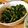 ゆめ♥'s cooksnap of when they made おろ抜き大根の葉っぱおひたし辛子醤油和え.