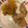 クックUVUMQX☆'s cooksnap of when they made ☆子供もたべやすい！簡単 生姜焼き☆.