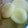 みぃなたん's cooksnap of when they made おとうふ白玉.