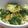 すーやん。's cooksnap of when they made レンジで簡単 栄養たっぷり離乳食オムレツ.