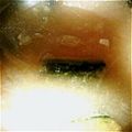 小春小雪's cooksnap of when they made かぼちゃたっぷりの味噌汁.