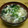 どんがらがっしゃっん's cooksnap of when they made きのことわかめ入り・かきたま汁.