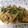 kikamata's cooksnap of when they made 適当♡簡単♡豚肉とにんにくの芽炒め.