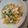 uzu1118's cooksnap of when they made 柿と豆苗のさっぱりサラダ❀(水菜でも○).