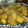 クック31ONFJ☆'s cooksnap of when they made 簡単☆赤魚の煮付け.