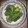 ターちゃんママ's cooksnap of when they made ほうれん草の味噌ゴマ和え.