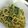 ayaka2924's cooksnap of when they made ほうれん草とピースのバジルソースパスタ.