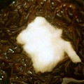 たひかと's cooksnap of when they made もずくの煮びたしとろろ添え.