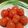 今宵あなたと's cooksnap of when they made プチトマトのマリネ.