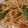 クックPEST53☆'s cooksnap of when they made フライパン一つ！ナポリタン.