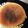４番目's cooksnap of when they made 簡単成型＊指先で作るレモン型.