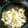 hijilas's cooksnap of when they made お弁当☆おあげと白菜のさっと煮.