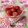 いっくんママン☆'s cooksnap of when they made とろ～りいちごとぷるぷるミルクゼリー.