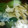 とみーこ。's cooksnap of when they made ごま油香る☆ちんげん菜と卵の中華スープ♪.