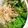 ☆またこ☆'s cooksnap of when they made 超簡単♪ホウレン草のおひたし♪.