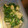 ゆったん1981's cooksnap of when they made ほうれん草と油揚げの煮浸し.