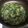のんたん（≧∇≦）'s cooksnap of when they made ☆大根の葉っぱde簡単混ぜご飯☆.