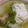 Rick_t's cooksnap of when they made 白菜とたまごの和風コンソメスープ.