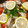 減塩パパ's cooksnap of when they made 旬の 牡蠣で アクアパッツァ.