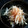 NAGANO久留米's cooksnap of when they made とにかく簡単♪もやしのおかか和え.