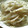 culty's cooksnap of when they made 大根ともやしのシャキシャキ炒め.