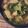 ルリナ's cooksnap of when they made 小松菜の煮びたし.