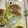 ちゃんこまんさん's cooksnap of when they made いそべなチーズちくわ卵焼き.