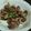 Yuzuksc's cooksnap of when they made ネギたっぷり♬ズリ塩.