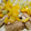 kucina's cooksnap of when they made アジの中華風サラダ.