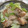 りょーマニア's cooksnap of when they made 鶏と白ネギの塩炒め♪.