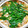 ﾋﾟﾛﾐ♡'s cooksnap of when they made 自家製スープで＊簡単キムチチゲ＊.