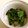 とまとま１０'s cooksnap of when they made ほうれん草胡麻和え❤.