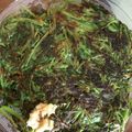 ぺあちぃ's cooksnap of when they made 2品でできる春菊だけのお焼き.