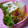 にゃぁくん's cooksnap of when they made ★しいたけのツナカレーマヨ焼き★.