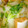 たきぼん's cooksnap of when they made 白菜と厚揚げの味噌炊き.