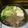 しのばぁたん's cooksnap of when they made すき焼～　この割り下なら失敗なし♪.