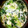 けぃこ。だぃご's cooksnap of when they made 簡単！丸ごと卵のみそ中華スープ.