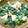 よこ子's cooksnap of when they made エビマヨ＆ゆで卵＆枝豆＆ほうれん草サラダ.
