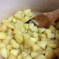 はなかれ's cooksnap of when they made シンプル♪はちみつ林檎煮。.