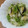 こっこちゃーん's cooksnap of when they made 簡単　白菜のゆず昆布和え.