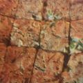 oyuking40's cooksnap of when they made すき焼きリメイクでお好み焼き.