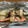 lg070947's cooksnap of when they made 鮭のホイル焼き＊簡単.
